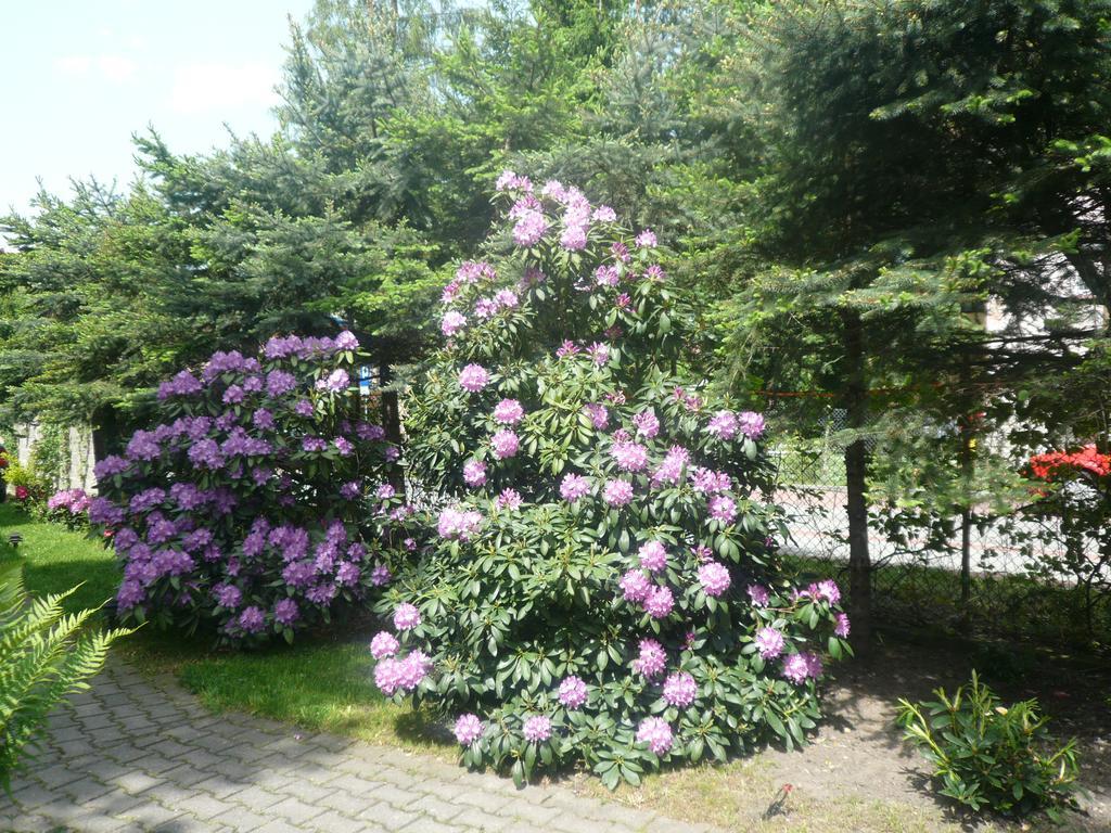 Dworek Genny Bad Altheide Exterior foto